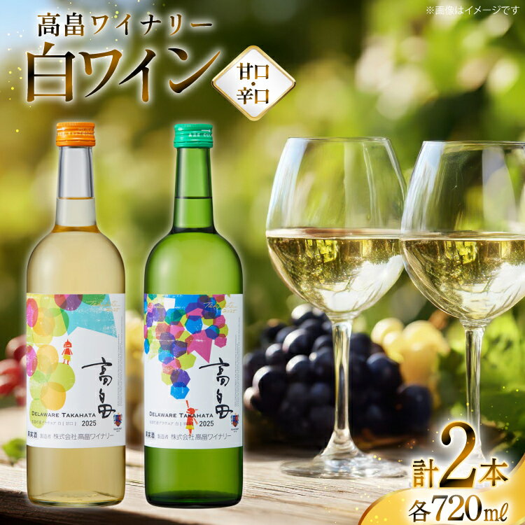 【ふるさと納税】 白 ワイン 高畠ワイナリー 辛口 甘口 ワイン 720ml 2本 [小田部商店 山形県 高畠町 tk06ayt180156] 白ワイン 飲み比べ デラウェア お酒 酒