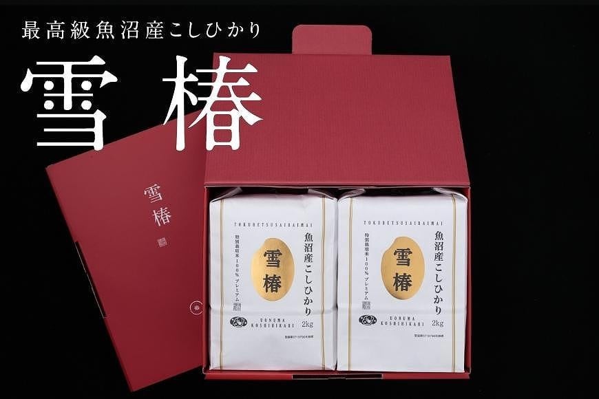 
                  【化粧箱入り】【令和7年産】魚沼産コシヒカリ「雪椿」4kg (2kg×2袋) 特別栽培米 | 米 お米 新潟 魚沼 魚沼産こしひかり コメ おこめ 白米 精米 最高級 ギフト 新潟県 津南町 越後雪椿産業株式会社
                
