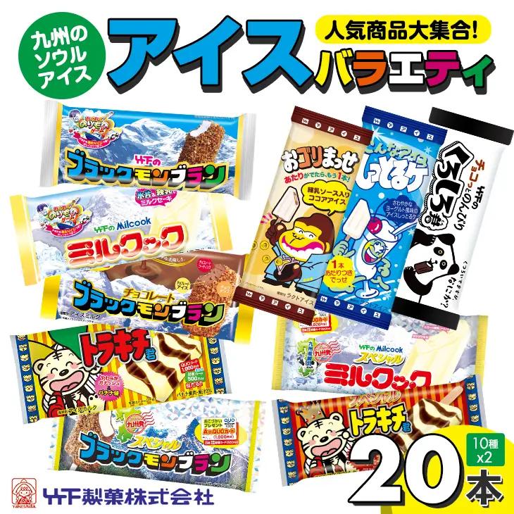 竹下製菓アイスバラエティ20本セット B130-062 アイス 冷凍 アイススイーツ アイスデザート 人気 ブラックモンブラン 九州のソウルアイス 佐賀県のアイス 小城市