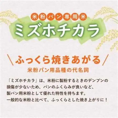 お米の粉ミズホチカラ パン用450g×10袋_粉 パン用 おすすめ 人気 送料無料 国産米粉 グルテンフリー ホームベーカリー 米粉 ミズホチカラ_【1559022】