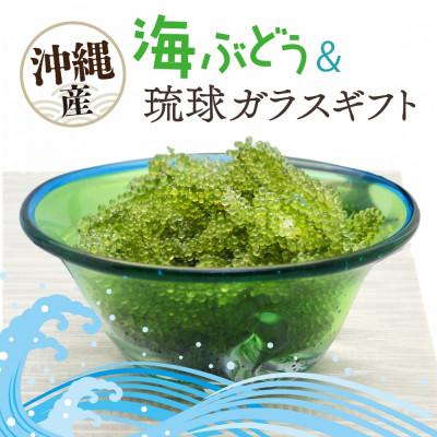 ふるさと納税 糸満市 「ぷちぷち海ぶどう」を琉球ガラスで食す贈り物 沖縄県 糸満市