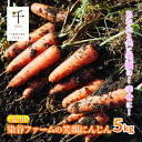 【ふるさと納税】【夏】染谷ファームの笑顔にんじん　5キロ　千ブランド　【千葉市】　お届け：2024年7月15日～8月15日