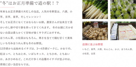 【定期便6か月】道の駅まくらがの里古河　季節の新鮮野菜おまかせBセット ※北海道・沖縄・離島への配送不可 | 野菜 詰合せ 詰め合わせ セット アソート 新鮮 道の駅 人気 ギフト 贈答 贈り物 プレ