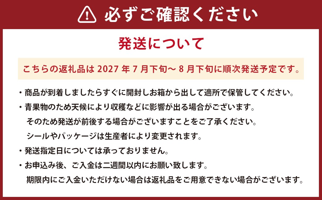 熊本産 シャインマスカット 約1.2kg 2～3房