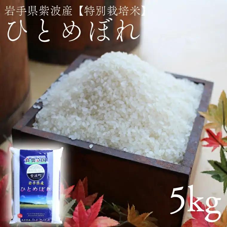 【7営業日以内発送】【精米】令和7年産 特別栽培米 ひとめぼれ 精米 5㎏ AD045