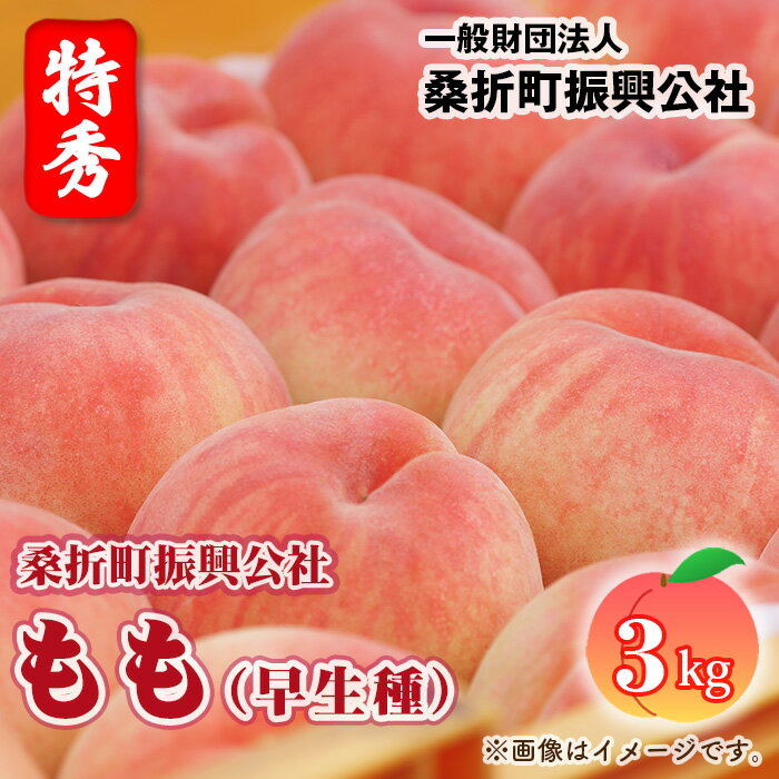 【ふるさと納税】No.231 もも（早生種）特秀品3kg（10～12玉）桑折町振興公社 ／ 桃 モモ 果物 フルーツ 送料無料 福島県 特産品