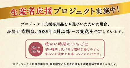 【応援プロジェクト限定品】2025年4月以降～発送 先行予約 自宅用 いちご 紅ほっぺ 1kg (250g × 4p) [しあわせ苺] サイズ バラバラ 訳あり 訳アリ 農園直送 フルーツ 果物 苺 