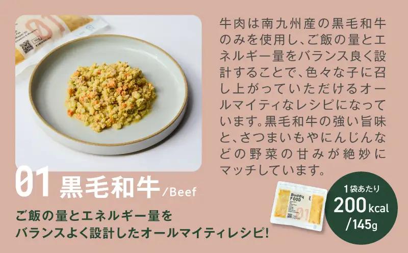 Buddy FOOD 人気セットB 3種6パック（黒毛和牛、豚モモ、サバ） K390-001_12 国産 魚 牛肉 豚肉 ペットフード