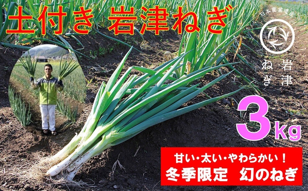 
                  髙本さんちの土付き岩津ねぎ 3㎏ 岩津ねぎ いわつねぎ ねぎ ネギ 長ネギ 長ねぎ 冬季限定 朝来市限定 甘い 太い 軟らかい すき焼き 天ぷら 焼きねぎ 鍋物 メディア紹介多数！
                