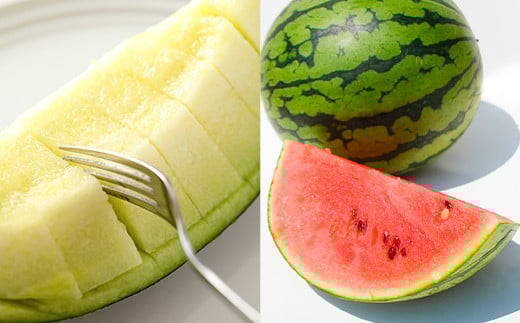 熊本産 小玉すいか＆肥後グリーンメロン【2026年4月下旬～7月上旬迄順次発送予定】すいか メロン 果物 フルーツ