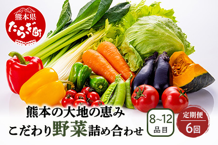 【定期便6回】熊本の大地の恵み 旬の こだわり野菜詰め合わせセット 8〜12品 （3〜4名様向け）6回配送 獲れたて 新鮮 野菜 セット 詰め合わせ 詰合せ 定期便 産地 直送 国産 季節 旬野菜 家族 ファミリー 多良木町 024-0811