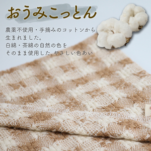 白綿・茶綿リバーシブルベスト カボチャパンツ 綿畑からそのまま 乳児用（男女共用）