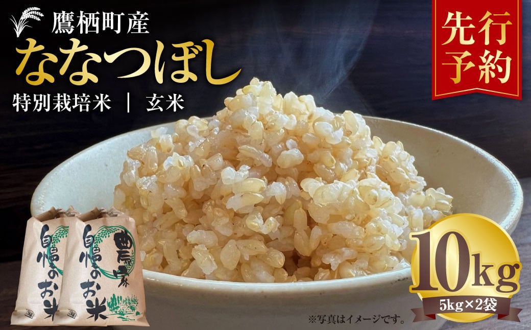 
            【令和7年産】 ななつぼし （玄米） 5kg×2袋 米 お米 玄米ごはん 玄米 北海道 鷹栖町 【2025年9月下旬より発送開始】
          