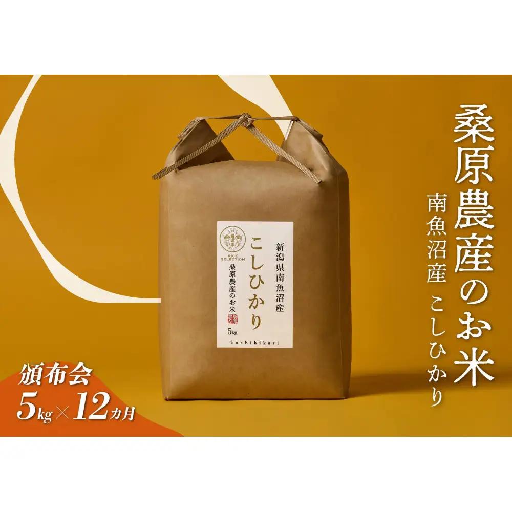 【令和7年度】【頒布会】日本のお米の最高峰　山間地米　南魚沼産コシヒカリ5kg×12カ月【定期便 銘柄米 ブランド米 精米 こしひかり コシヒカリ 魚沼産 新潟米 産地直送 お米 米 こめ コメ ご飯 御飯 ごはん】