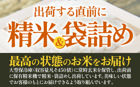 【先行予約】【令和8年産 新米】 エコ栽培ハナエチゼン　白米5kg ／ 鮮度抜群 福井県産 はなえちぜん ご飯 新鮮 白米 ※2026年9月上旬以降順次発送予定 [aw063-a016]