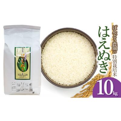 ふるさと納税 鶴岡市 令和8年産ばんどう農園の特別栽培米はえぬき10kg精米　[K-858]