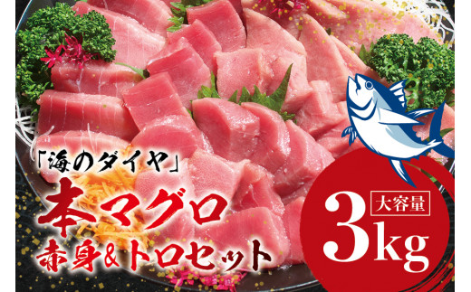 本マグロ（養殖）トロ＆赤身セット 3kg 【通常発送】高級 クロマグロ  中トロ 中とろ まぐろ マグロ 鮪 刺身 赤身 柵 じゃばらまぐろ 本マグロ 本鮪