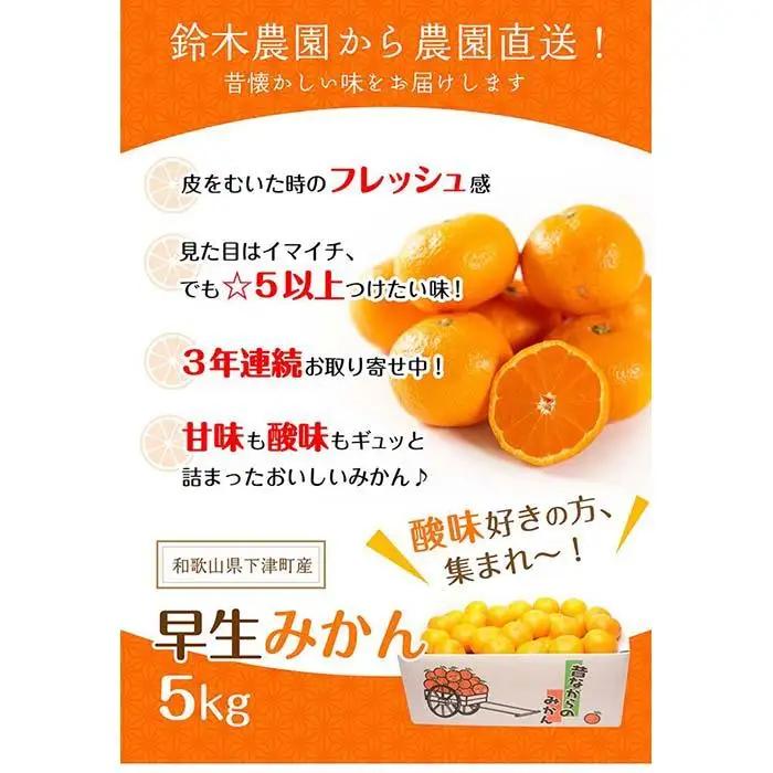 早生みかん 5kg 小玉サイズ みかん