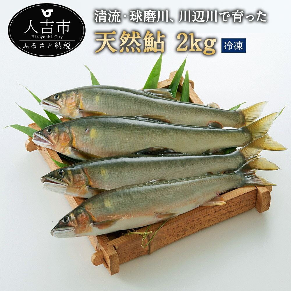 【ふるさと納税】天然鮎 冷凍 約2kg 10～20尾 アユ あゆ 魚 魚介類 九州産 熊本県産 人吉産 送料無料