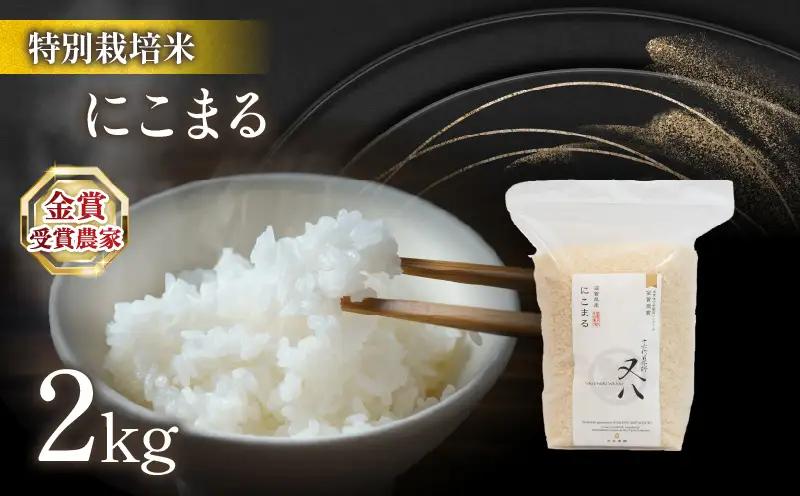 【 新米 】 令和8年米 にこまる 2kg ビニール包装
