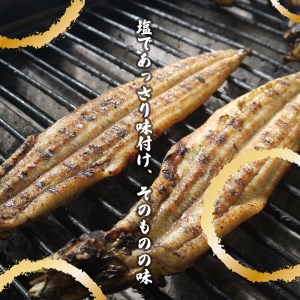 AK002_【冷蔵発送】朝開き国産うなぎ当日発送２尾（1尾あたり約200～230ｇ） 塩焼き 国産鰻 ウナギ 土用丑の日