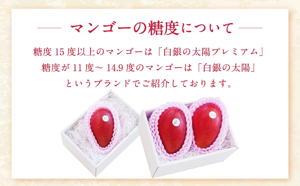 おとふけ産マンゴー「白銀の太陽」Mサイズ×1玉