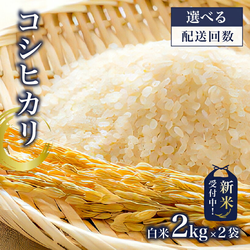 【ふるさと納税】【選べる 配送回数】【新米】コシヒカリ白米2kg×2袋【2025年産】 米 お米 精米 ごはん おにぎり 有機肥料 食品 国産 こだわり 栽培期間中農薬不使用 お取り寄せ 千葉県 南房総市 送料無料