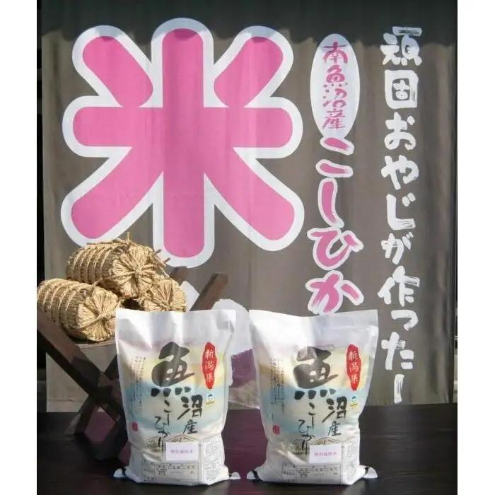 【令和７年】12か月定期便　がんこおやじが作った南魚沼産コシヒカリ白米１０kg（５kg×２袋） | 白米