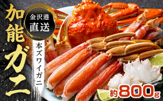 
金沢港 直送！ボイル 加能ガニ(大) ズワイガニ ずわい ズワイ蟹 蟹 カニ 冷蔵 人気 おすすめ 期間限定 石川 金沢 加賀百万石 加賀 百万石 北陸 北陸復興 北陸支援
