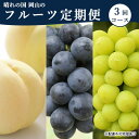 【ふるさと納税】桃 ぶどう 定期便 2025年 先行予約 晴れの国 岡山 の フルーツ 定期便 3回コース もも モモ 葡萄 ブドウ 岡山県産 国産 セット ギフト　定期便・ 化粧箱入り 白桃 ニューピオーネ シャインマスカット 晴王 　お届け：2025年7月上旬～2025年9月下旬