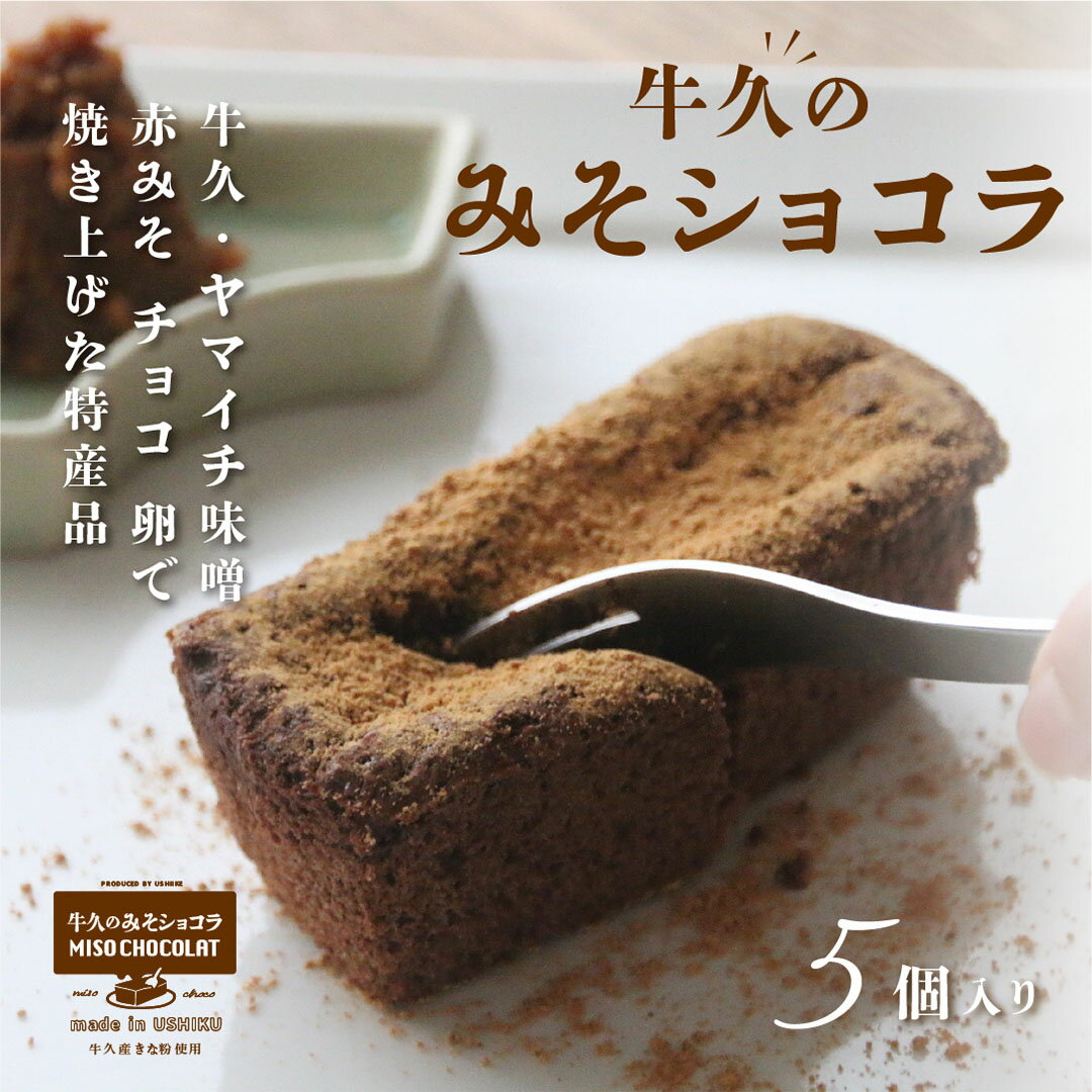 【ふるさと納税】 牛久の みそショコラ ( 55g x 5個 ) 洋菓子 ケーキ 焼き菓子 お菓子 味噌 スイーツ チョコレートケーキ チョコケーキ チョコレート