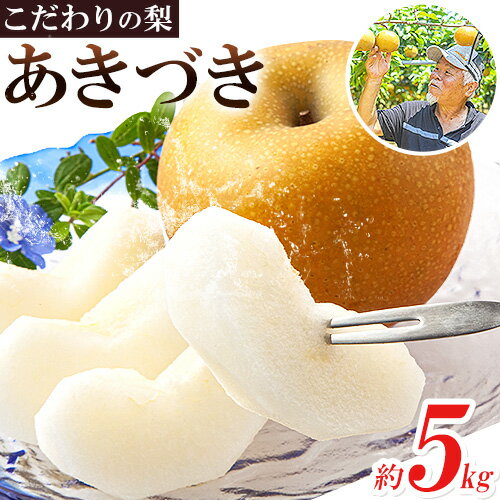 【ふるさと納税】梨 あきづき 福岡農園 こだわりの梨 あきづき 約5kg 《9月上旬-9月末頃出荷予定》熊本県 氷川町 ナシ 秋 旬 熊本 フルーツ お取り寄せ 無袋栽培 送料無料 旬の梨 フルーツ梨 あきづき 約5kg nashi あきづき 旬