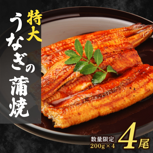 大容量800g！特大うなぎ蒲焼200g×4尾