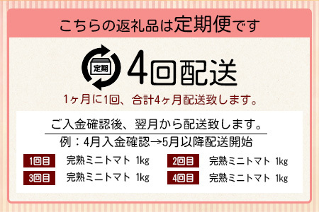 【先行予約】【2026年1月から出荷】【4回定期便】完熟ミニトマト Ricotomato 1kg 合計4kg 月1回 年4回発送 野菜 とまと トマト 佐賀産 佐賀県 鹿島市 送料無料 春 夏 旬 F