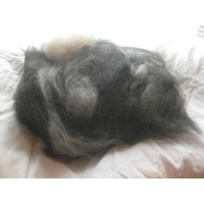 ふるさと納税 久万高原町 犬毛糸　オーダーメイド!あなたの大切なペットの毛が世界で1つの毛糸になります(約25〜45g作成) |  | 02