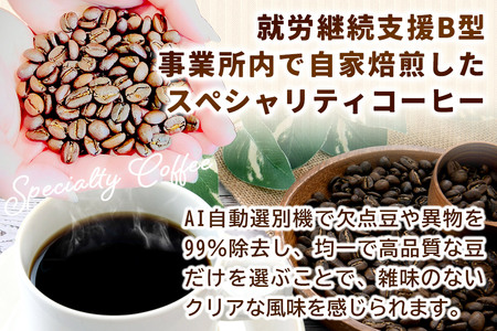 コーヒー 自家焙煎珈琲 ドリップバッグ おまかせ6種 各12g×2袋  計12袋 スペシャリティコーヒー