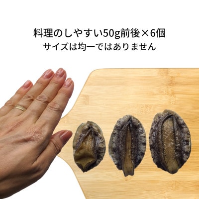 活き蝦夷あわび　6個【配送不可地域：離島・北海道・沖縄県・東北・中国・四国・九州】