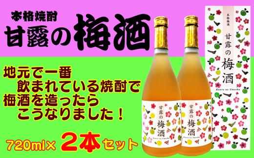 甘露 の 梅酒 ( 720ｍｌ )×2本　NFN158 【300pt】