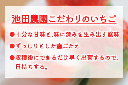 大粒とちあいか＋大粒とちおとめ 計4パック／約1kg (各2パック)《2026年1月上旬より順次発送》｜先行予約 とちあいか とちおとめ いちご イチゴ 苺 大粒 果物 果実 フルーツ 産地直送 日光