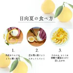 【先行受付】初春の旬「日向夏」種あり 5kg 果物 フルーツ くだもの 柑橘 フルーツサンド おやつ スイーツ デザート ジャム おすすめ ギフト 贈り物 贈答 プレゼント おすそ分け お返し 宮崎県