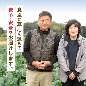 i994 ≪先行予約受付中！2025年12月上旬～4月下旬の間に発送予定≫ ブロッコリー 約2kg (M～L玉) 鹿児島 出水 国産 生 野菜 ブロッコリー 朝どれ 新鮮 産地直送 JGAP認証 安心
