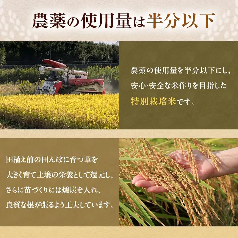 にこまる 特別栽培米 令和7年産 白米 にこまる【2kg】
