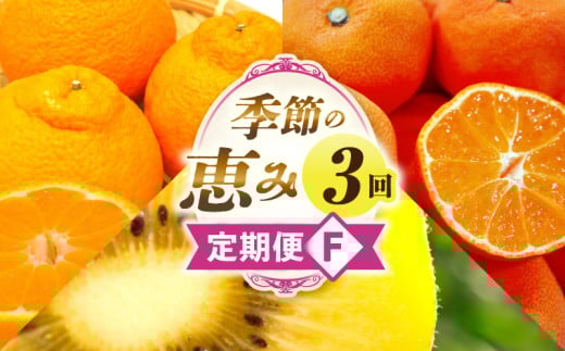 季節の恵み3回定期便F_mk165-t021