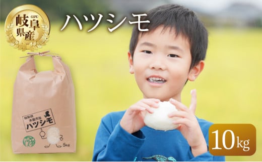 【令和7年産】 ハツシモ 10kg 米 こめ ごはん 白米 岐阜県産 本巣市 お米 精米 おにぎり 弁当 さっぱり 旨味 甘い 和食 寿司 岐阜県産 ヤマダライス 2025年11月～発送