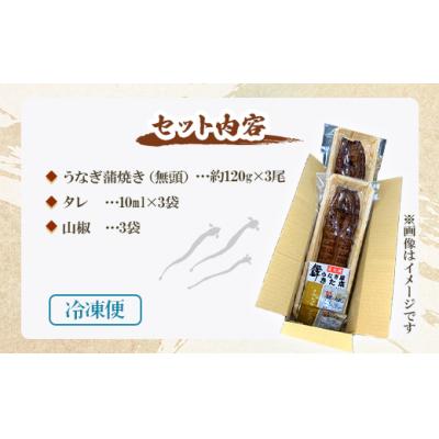 ふるさと納税 香南市 【12回定期便】うなぎ蒲焼き120g 3尾(無頭) Wun-0030 |  | 03