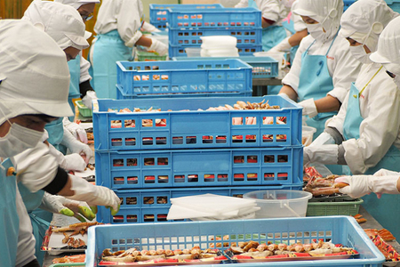 ボイル たらばがに 足 1.3kg カット済 ハーフポーション タラバ 弥七商店 かに弥 たらば蟹 タラバガニ かに カニ 蟹  鍋 焼きガニ_AP029