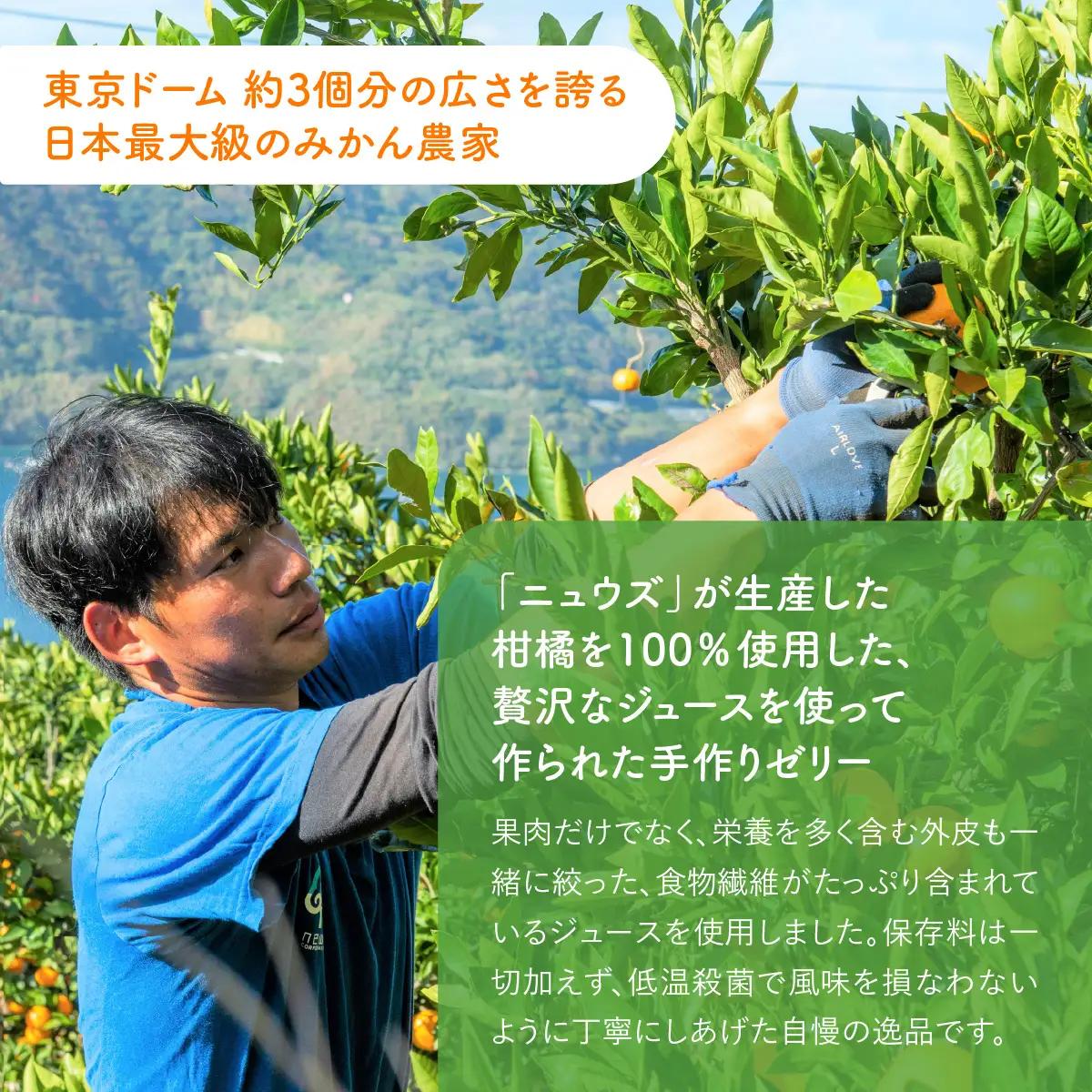 【皮までまるごと国産無添加】愛媛まるごとゼリーセット（12個） IKTF012