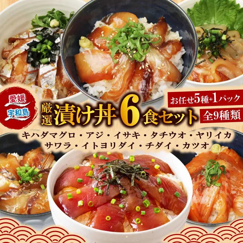 海鮮丼 天然 マグロ 等 6食 南予ビージョイ 海鮮丼 D010-150018