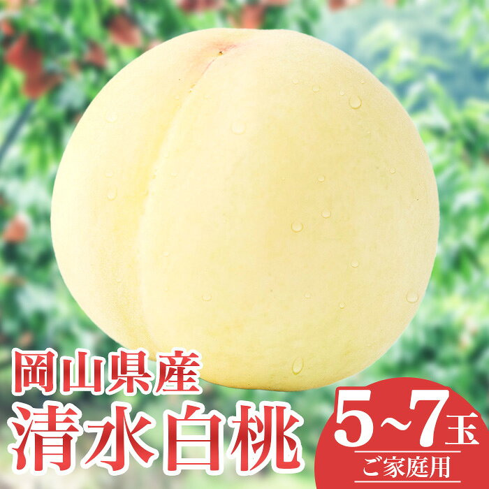 【ふるさと納税】白桃 岡山 桃 もも モモ 岡山の桃 清水白桃 桃の女王 スイーツ フルーツ 果物 お取り寄せ デザート 旬 ご家庭用 訳あり 【ご家庭用】岡山白桃 清水白桃 5～7玉【2027年7月中旬頃から順次発送】
