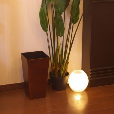 ふるさと納税 和歌山市 ユーロスタイルBOX  L角 木目 9.5L 場所を取らないスリムな木目調ゴミ箱 |  | 01